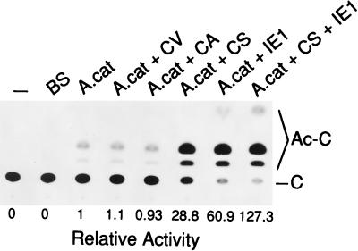 FIG. 6