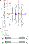 FIG 1