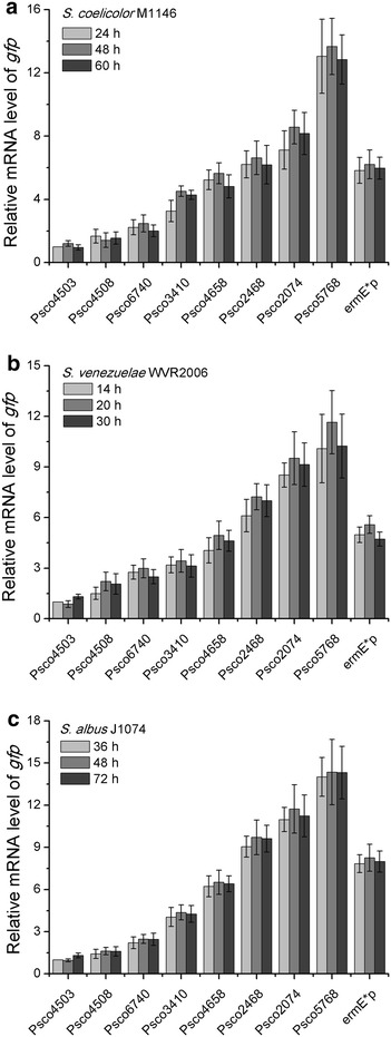 Fig. 4