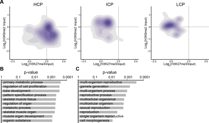 Figure 3—figure supplement 3.