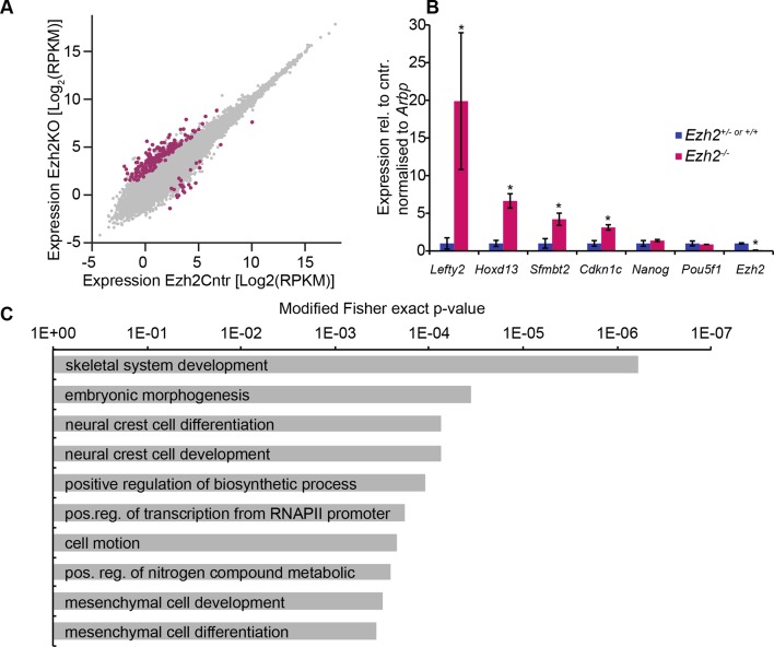 Figure 2—figure supplement 3.