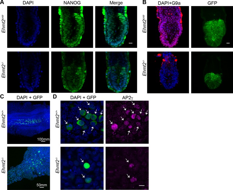 Figure 2—figure supplement 2.