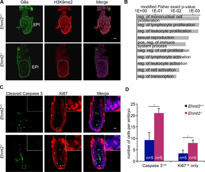 Figure 2—figure supplement 1.