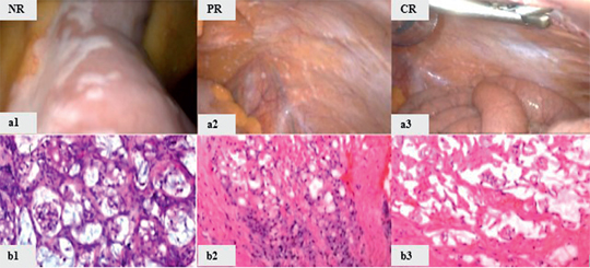 Figure 2: