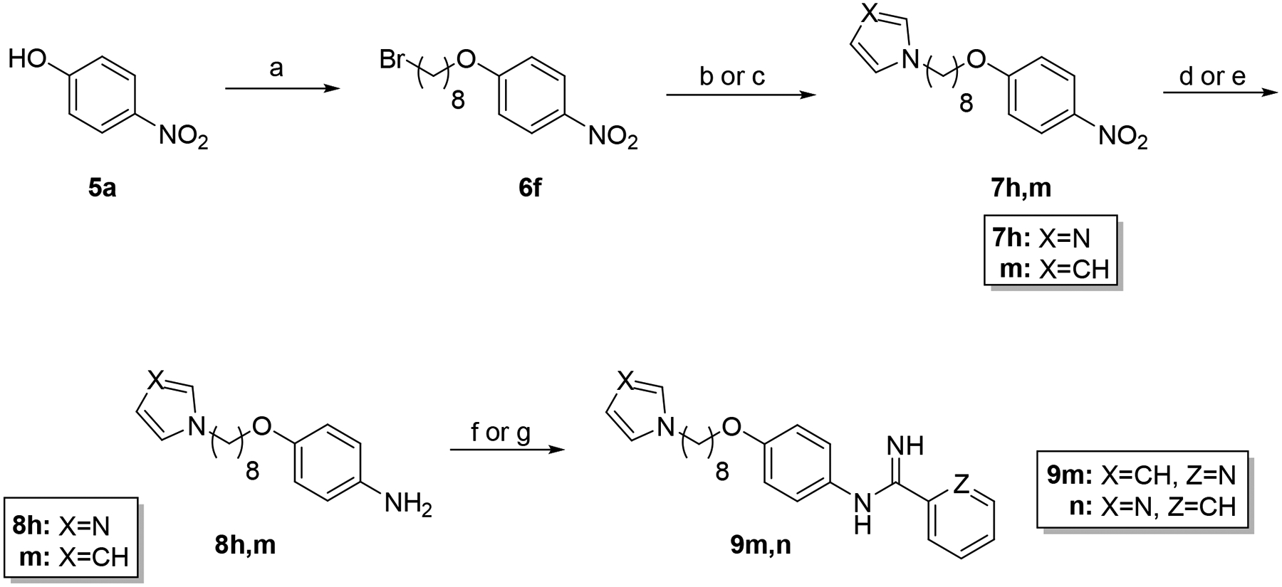 Scheme 2.