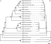 Fig. 3