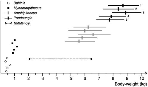 Fig. 6.