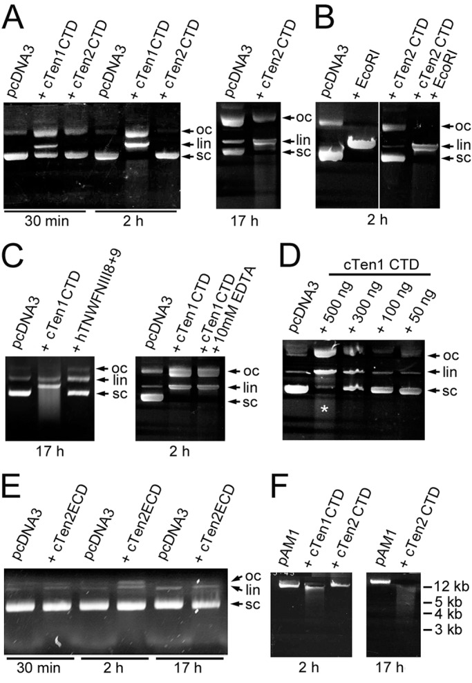 Fig. 5.