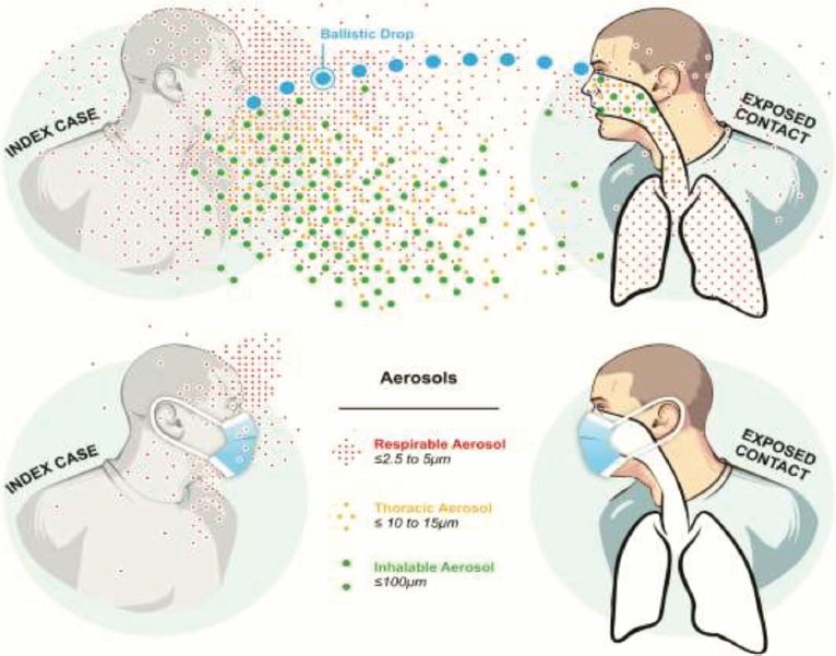 Figure. Short-range transmission potential of ballistic drops and droplet aerosols in the inhalable, thoracic, and respiratory aerosol size and the effect of facemasks as source control. (Reproduced with permission from Milton [25].).