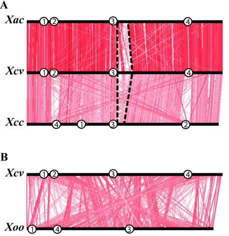 FIG. 2.