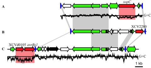 FIG. 3.