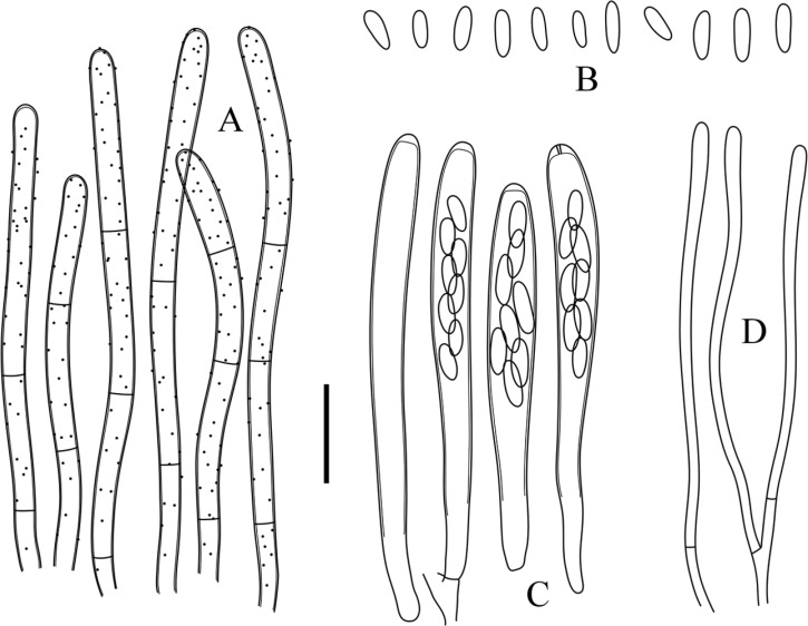 Fig. 2