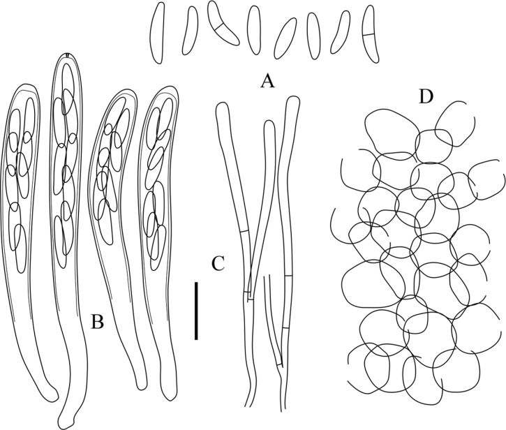 Fig. 4