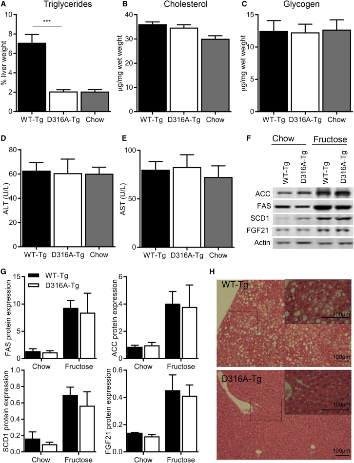 Figure 5