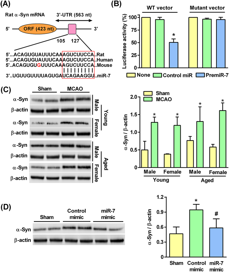 Fig. 7: