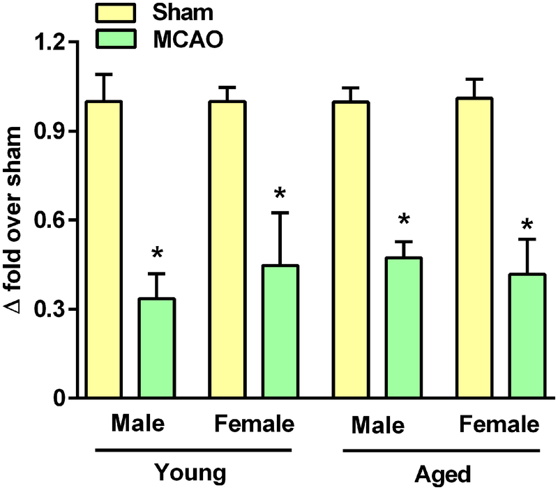 Fig. 1: