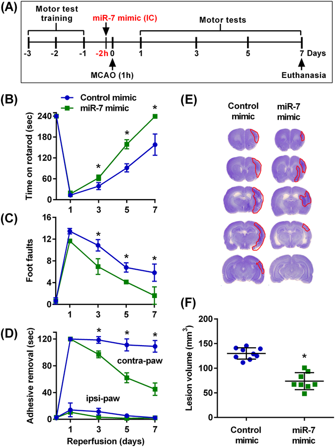 Fig. 2: