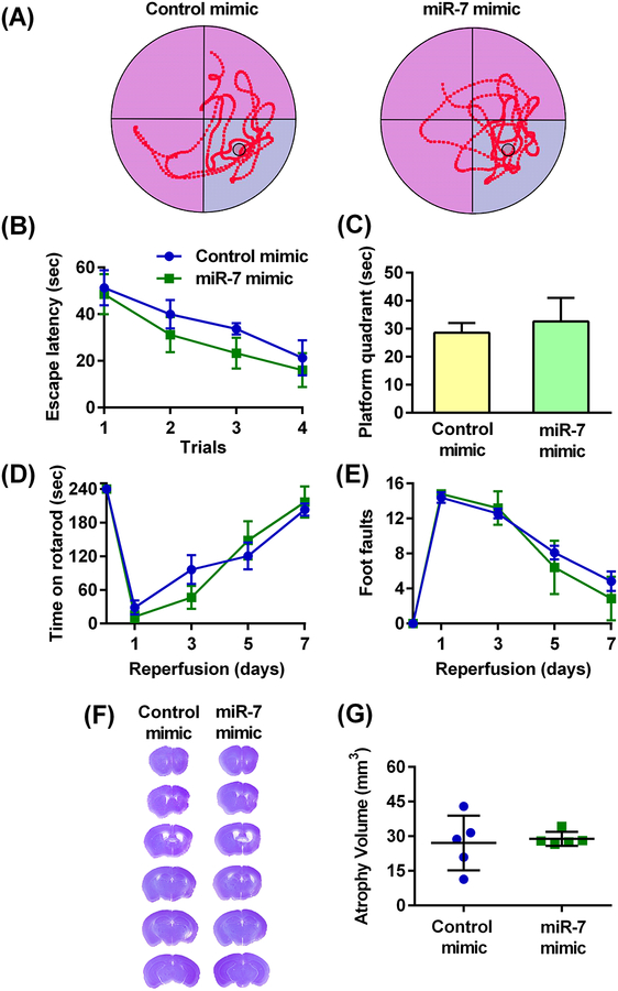 Fig. 8: