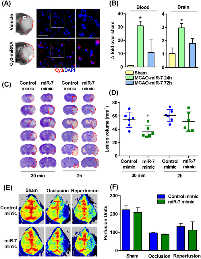 Fig. 4: