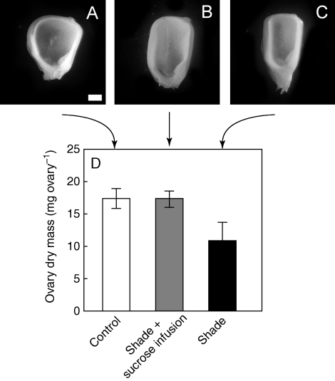 Fig. 5.