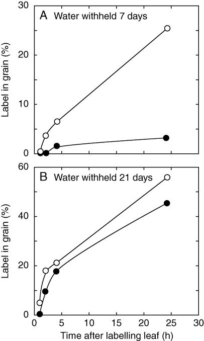 Fig. 9.