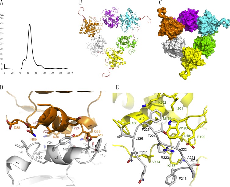 Fig 4