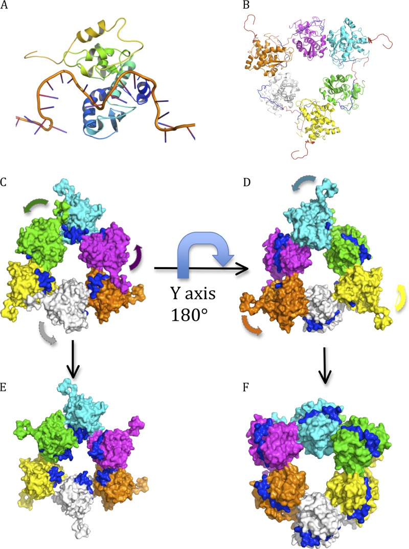 Fig 6