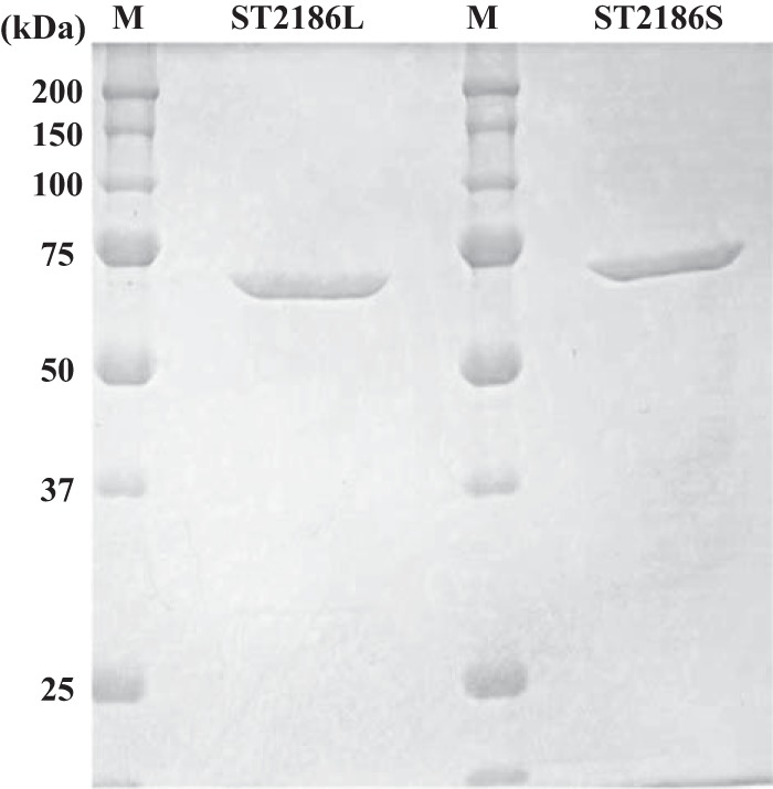 FIG 3