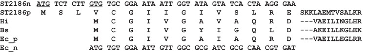 FIG 2