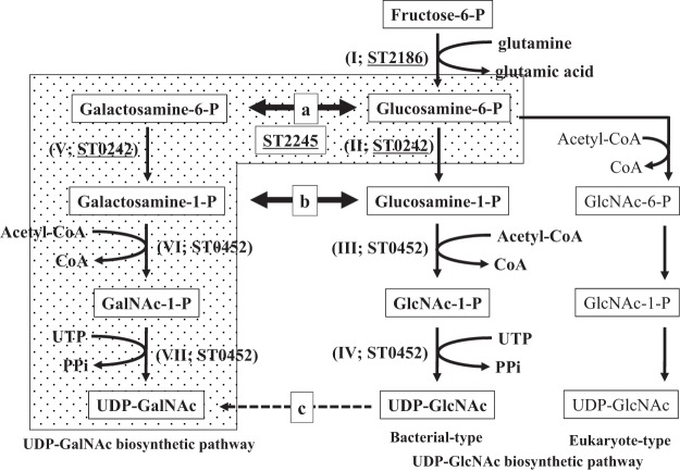 FIG 1