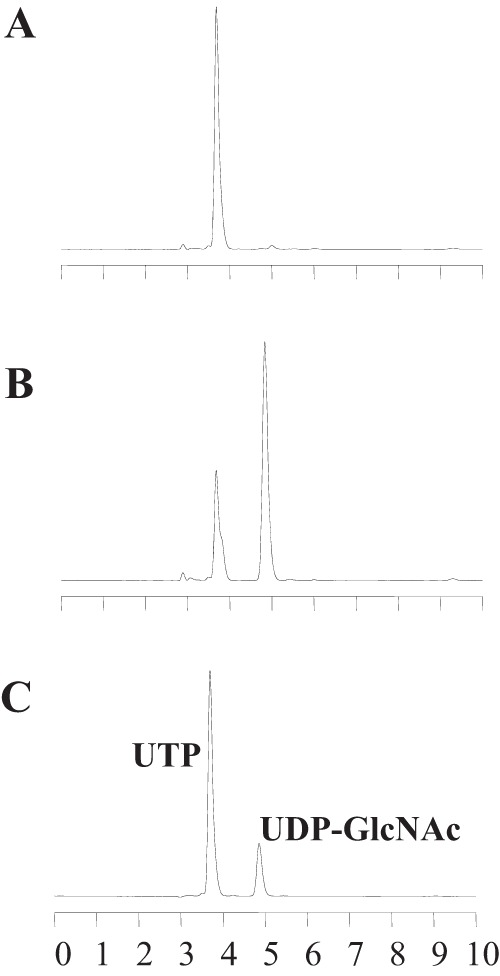 FIG 6