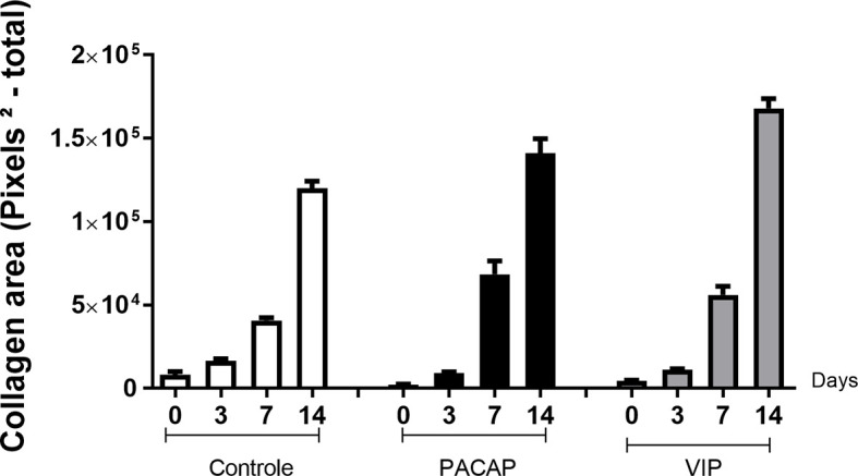 Figure 11