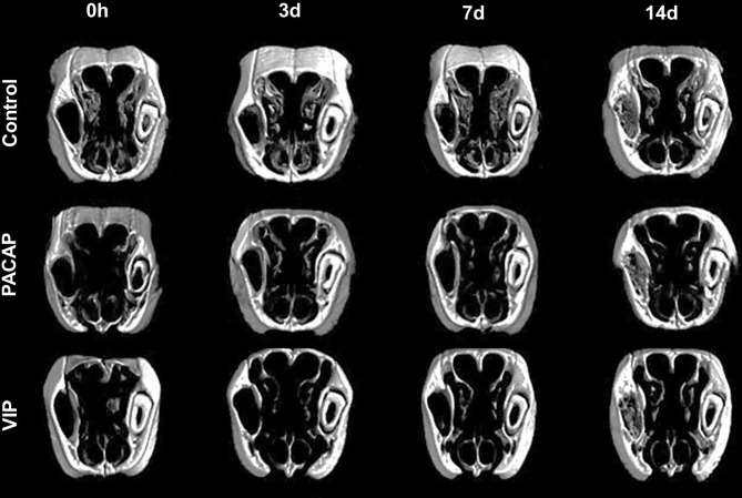 Figure 13