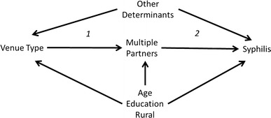 Fig. 1