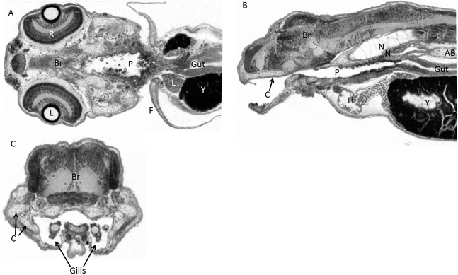 Figure 7.