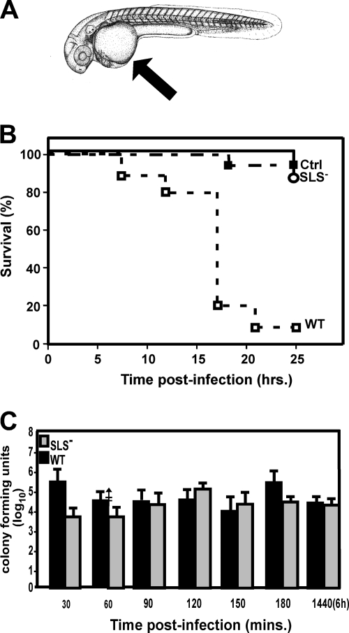 FIG. 3.