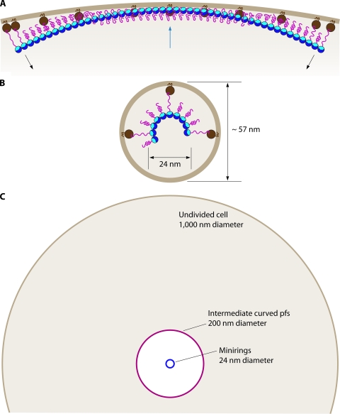 FIG. 9.