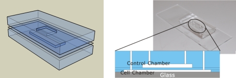 Fig. 2