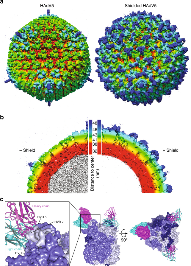 Fig. 6