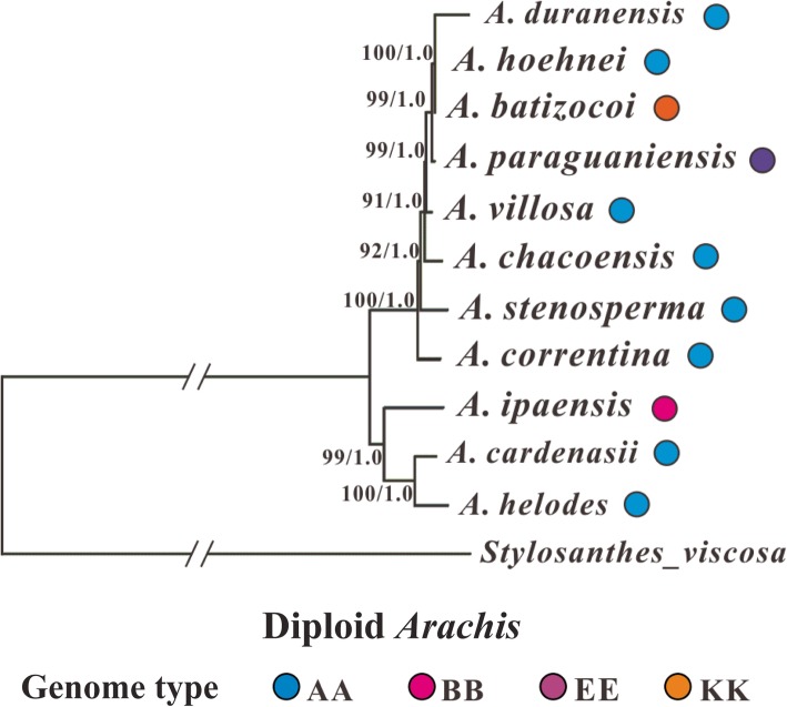 Fig. 6