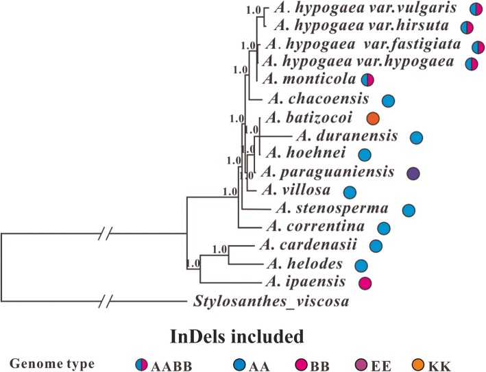 Fig. 7