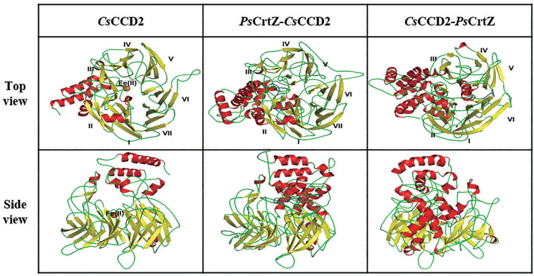 FIGURE 2