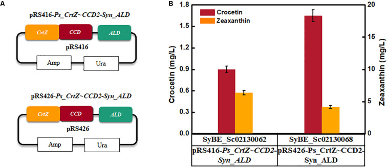 FIGURE 4