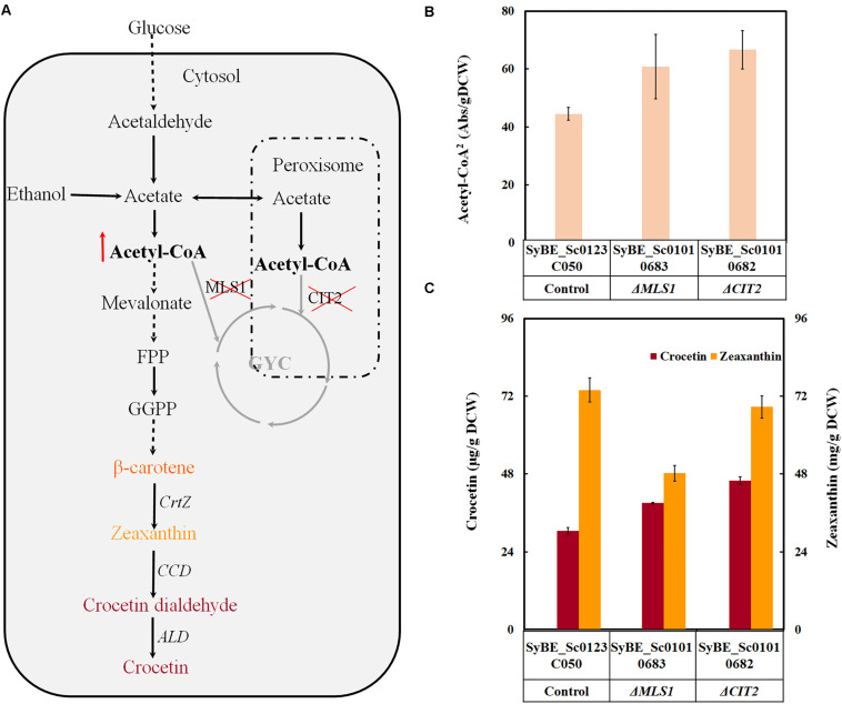 FIGURE 1