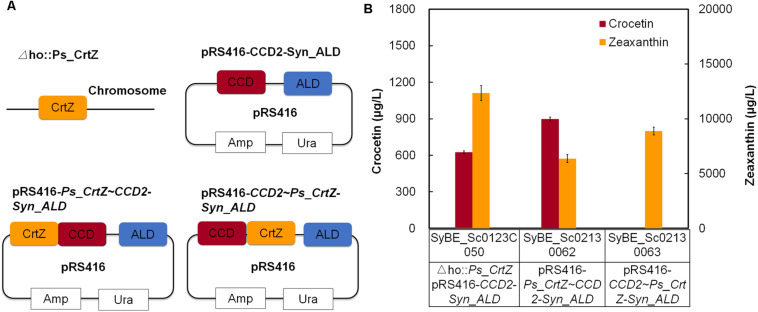 FIGURE 3