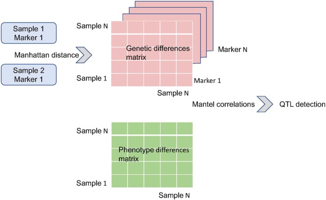 FIGURE 1