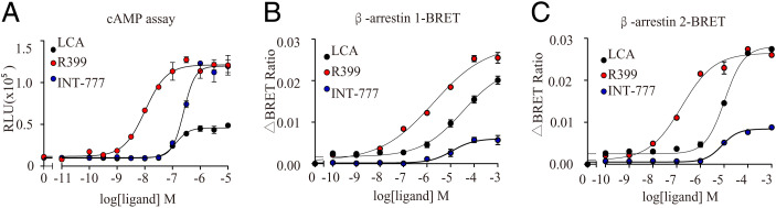 Fig. 6.