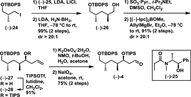 Scheme 5