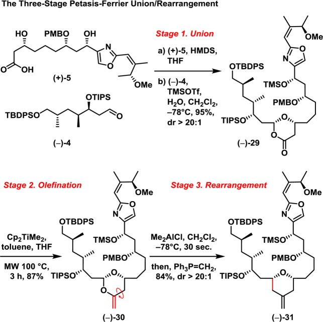 Scheme 6