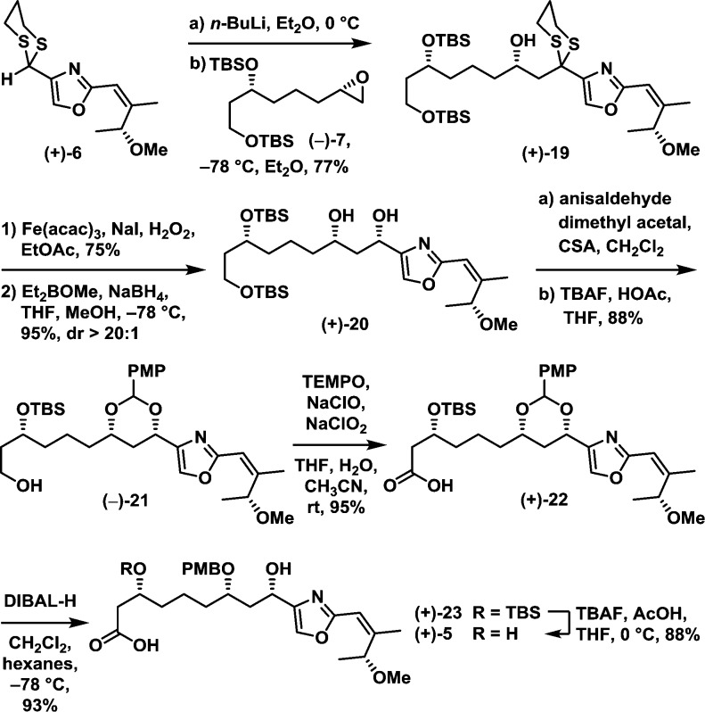 Scheme 4